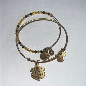 Harry Potter Hufflepuff Gold-Tone Charm Bangle Set with Yellow and Black Beads